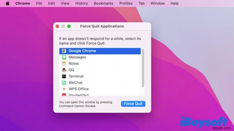 Macのゴミ箱が空にならないときの対処法|原因別の解決策を徹底解説