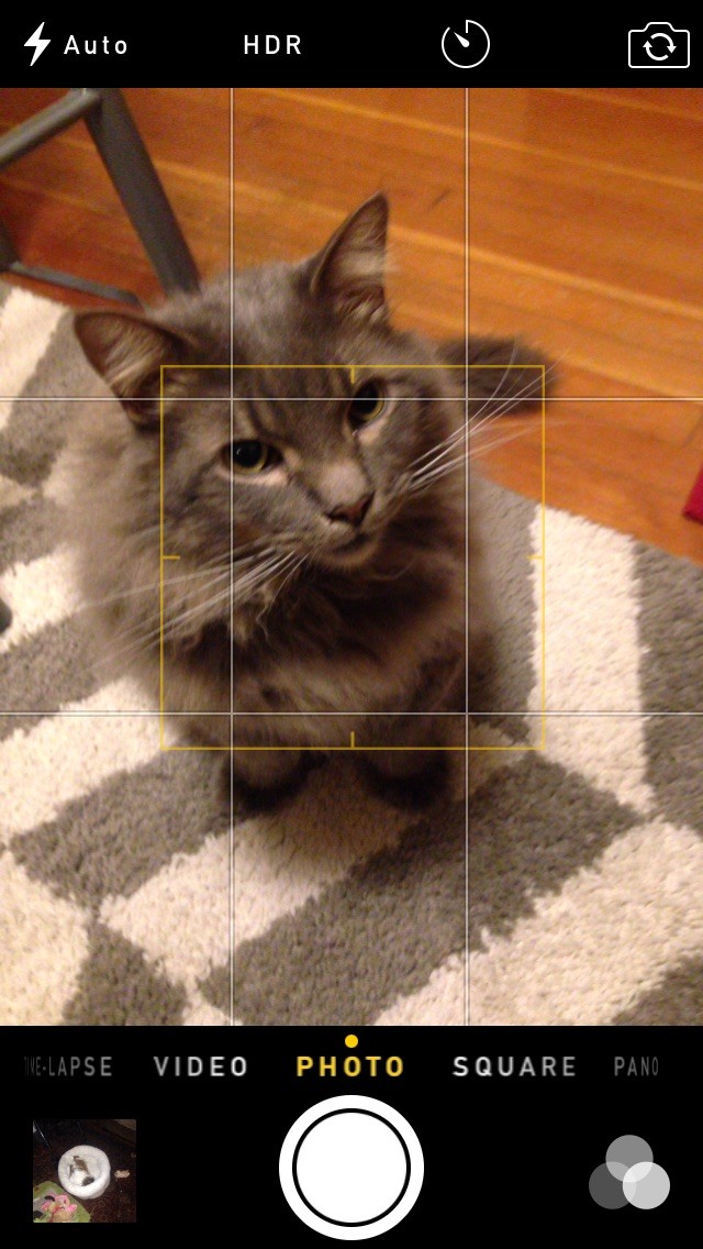 iOSの30日間ヒント:カメラのグリッドをオンにして写真の構図をもっと美しく