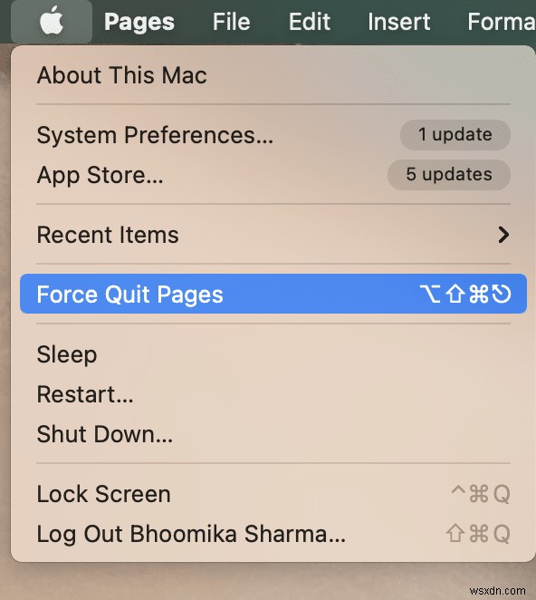 macOS Big Surの不具合を解決する方法｜よくある13の問題と対処法を徹底解説