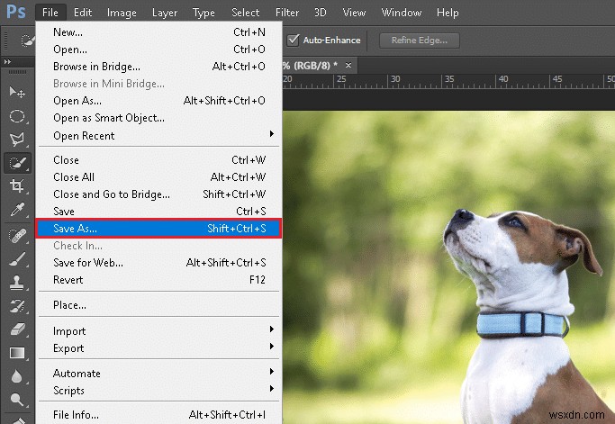 Photoshopで画像をRGBカラーモードに変換する方法|Windows・Macのショートカットキーも解説