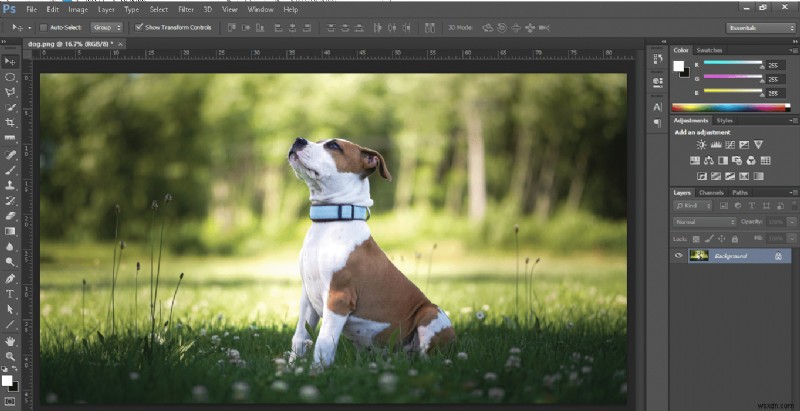Photoshopで画像をRGBカラーモードに変換する方法|Windows・Macのショートカットキーも解説