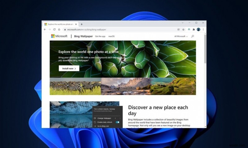Windows 11向けBing壁紙アプリのダウンロード＆インストール方法を徹底解説