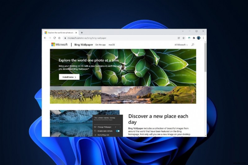 Windows 11向けBing壁紙アプリのダウンロード＆インストール方法を徹底解説