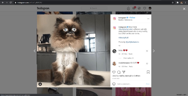 Instagramの写真をフルサイズで表示・保存する2つの方法