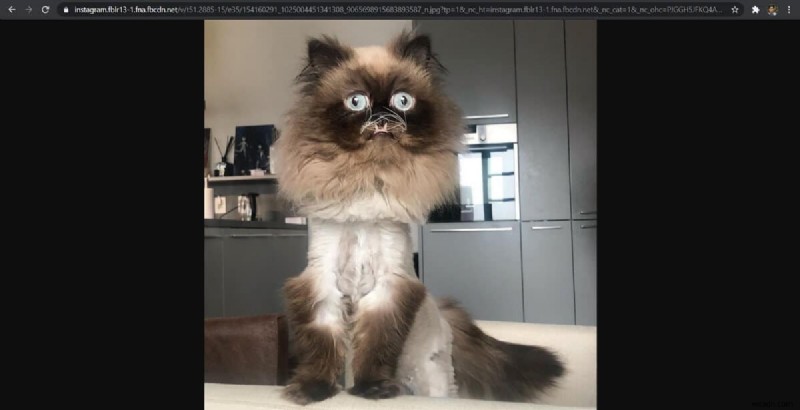 Instagramの写真をフルサイズで表示・保存する2つの方法