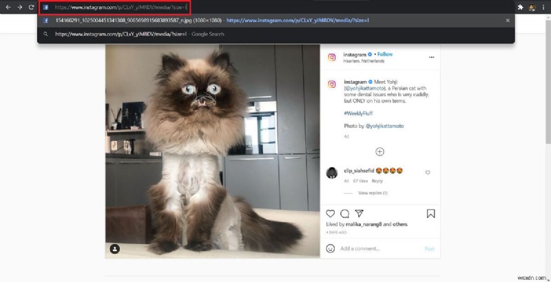 Instagramの写真をフルサイズで表示・保存する2つの方法