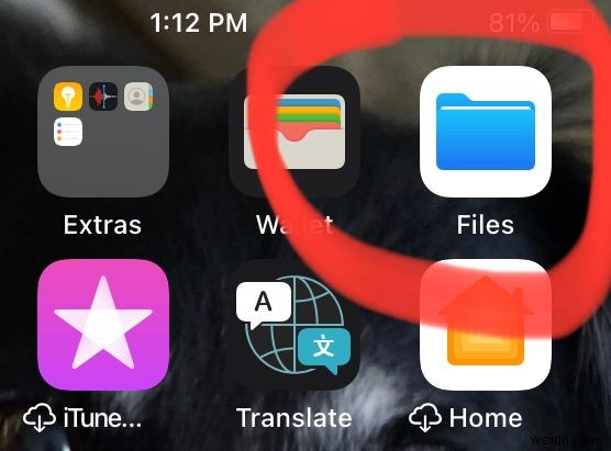 iPhoneのダウンロードフォルダはどこにある?iOS・iPadOSでの確認方法を徹底解説