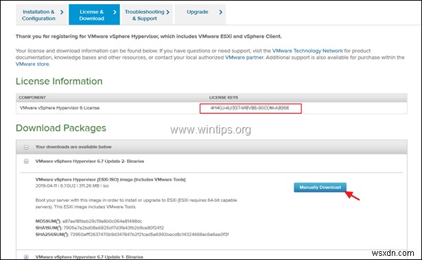 【完全ガイド】VMware Workstation PlayerにvSphere ESXi 6.7をインストールする方法