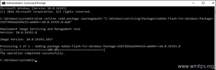 RDSHライセンス不要!Windows Server 2016/2019にAdobe Flash Playerをインストールする手順