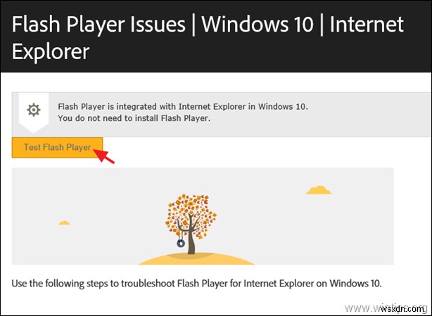 RDSHライセンス不要!Windows Server 2016/2019にAdobe Flash Playerをインストールする手順