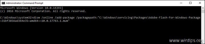 RDSHライセンス不要!Windows Server 2016/2019にAdobe Flash Playerをインストールする手順