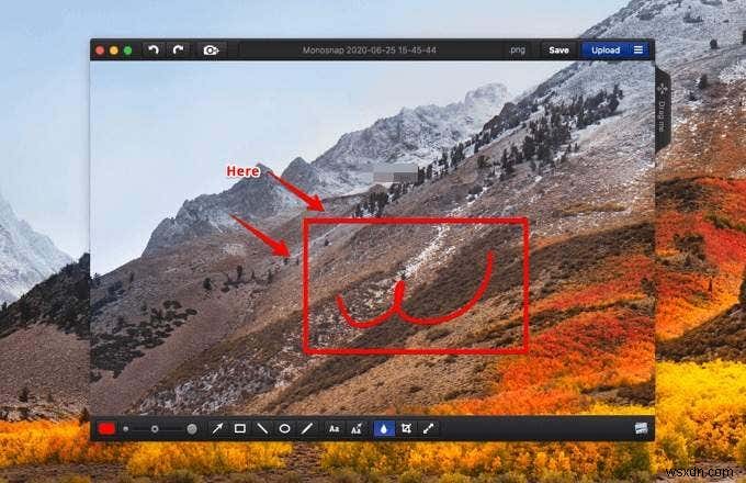 Mac版切り抜きツール(Snipping Tool)の決定版!おすすめ代替アプリ5選