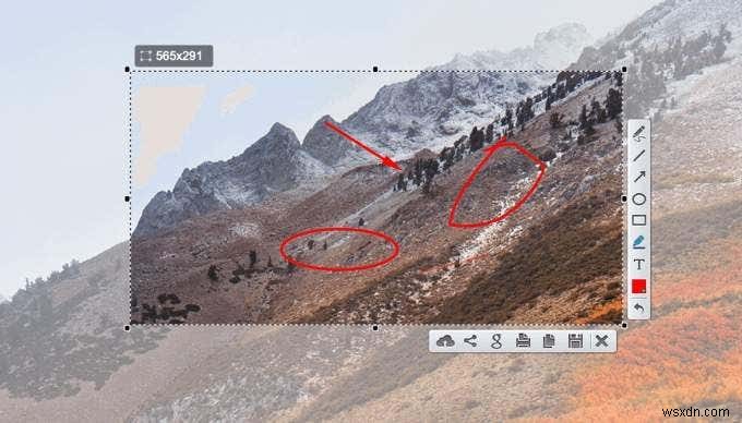 Mac版切り抜きツール(Snipping Tool)の決定版!おすすめ代替アプリ5選