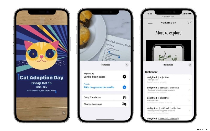 iPhone・iPad・Macの「ライブテキスト（Live Text）」とは？画像内の文字を活用する使い方まとめ