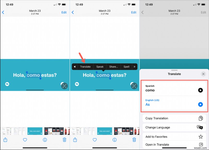 iPhone・iPad・Macの「ライブテキスト（Live Text）」とは？画像内の文字を活用する使い方まとめ
