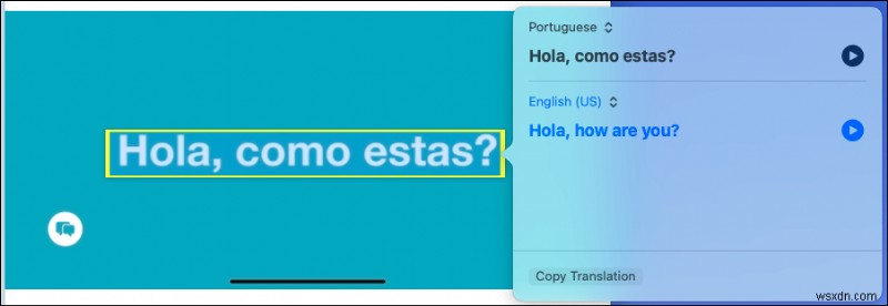 iPhone・iPad・Macの「ライブテキスト（Live Text）」とは？画像内の文字を活用する使い方まとめ