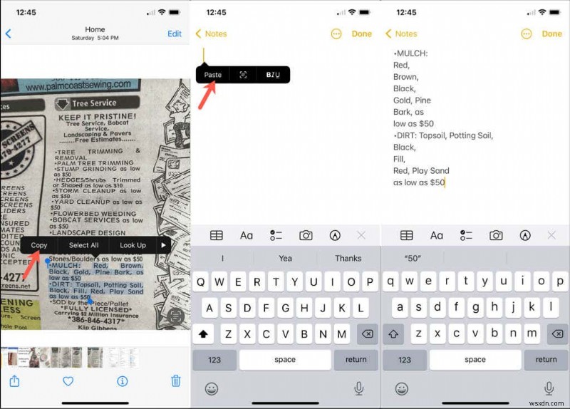 iPhone・iPad・Macの「ライブテキスト（Live Text）」とは？画像内の文字を活用する使い方まとめ
