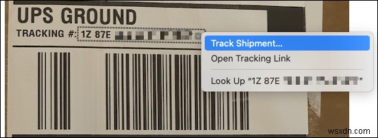iPhone・iPad・Macの「ライブテキスト（Live Text）」とは？画像内の文字を活用する使い方まとめ