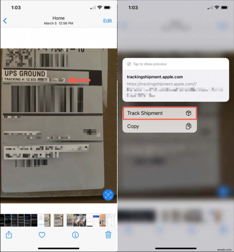iPhone・iPad・Macの「ライブテキスト（Live Text）」とは？画像内の文字を活用する使い方まとめ