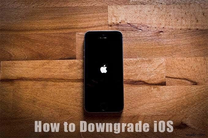 iPhoneのiOSをダウングレードする方法【ベータ版・正式版それぞれの戻し方】
