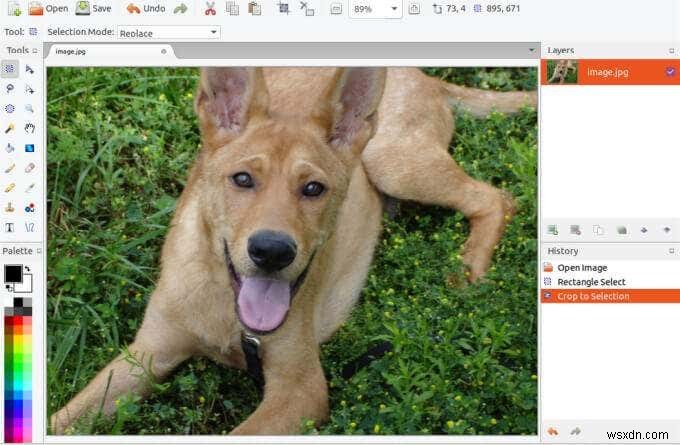 MacでMicrosoft Paintの代わりになるおすすめペイントアプリ12選