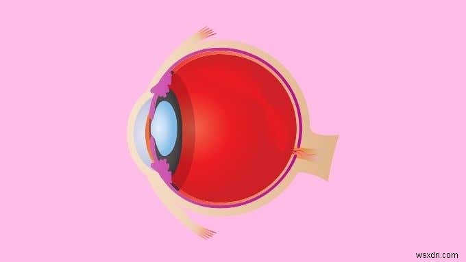 Retinaディスプレイとは?知っておきたい仕組みと特徴を徹底解説