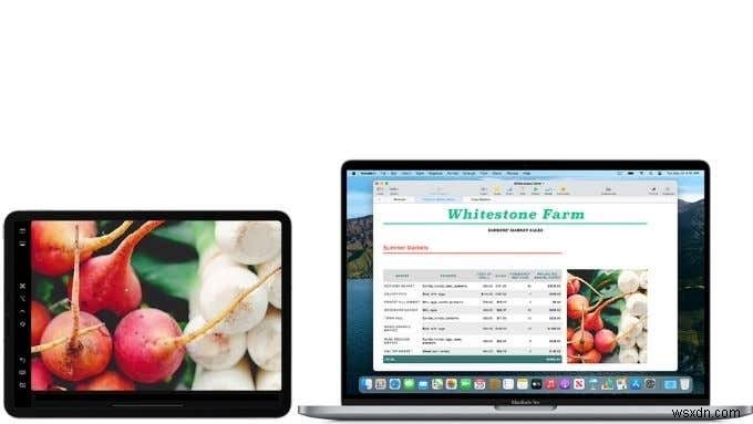 M1搭載MacBook vs iPad Pro:これまで以上に難しい選択