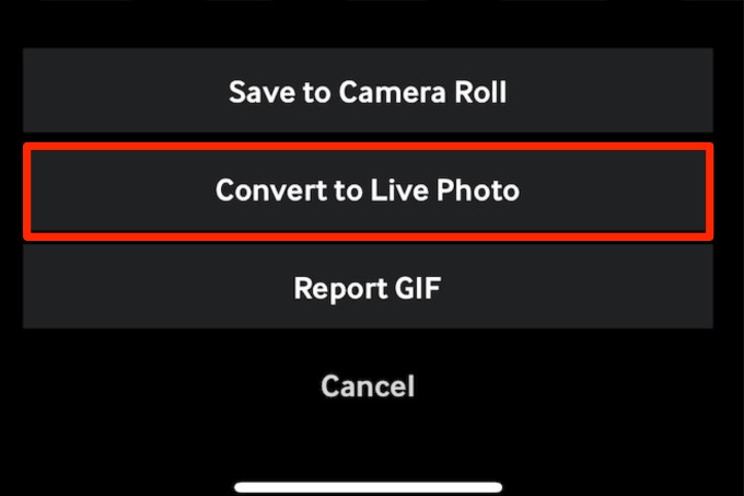 iPhoneで動画をライブフォト(Live Photo)に変換する完全ガイド