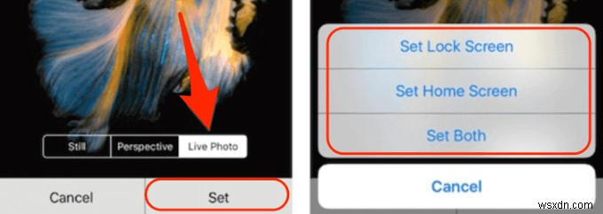 iPhoneで動画をライブフォト(Live Photo)に変換する完全ガイド