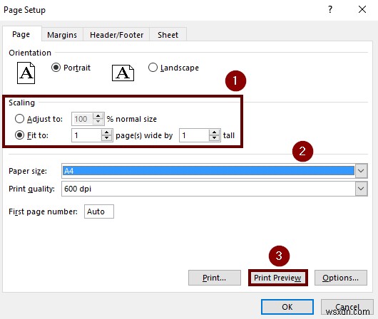 Excelシート全体をA4サイズで印刷する方法(5つの簡単なテクニック)