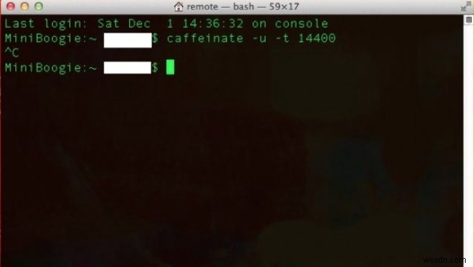 Macユーザー必見！今すぐ試せる便利なターミナルコマンド10選