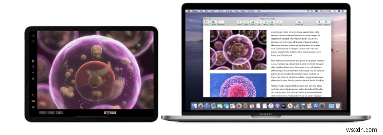 macOS Catalinaでよくある14の問題とその簡単な解決策