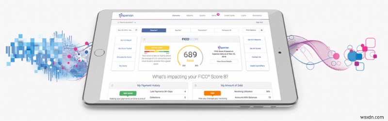 ExperianのProtectMyIDで個人情報の盗難を防ぐ|主な機能・料金プランを徹底解説