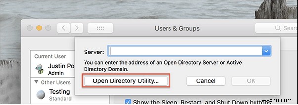 Macのルートアカウントとは?有効化する方法と注意点を徹底解説