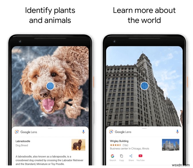 スマホのカメラで物体を識別!おすすめ画像認識アプリ7選