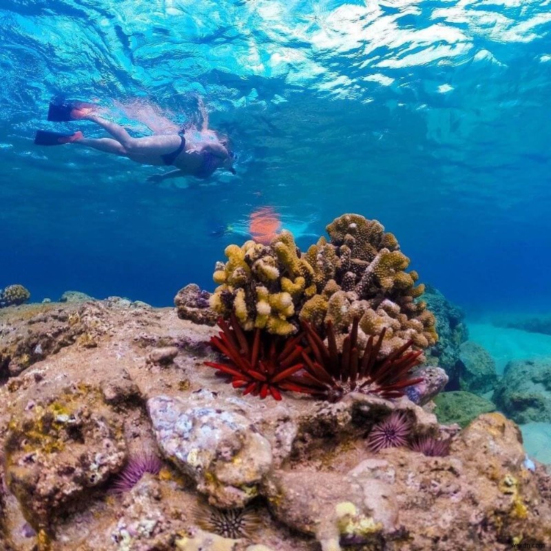 【保存版】GoProアクションカメラを最大限に活用する5つのヒント|冒険の思い出を劇的に残す撮影テクニック