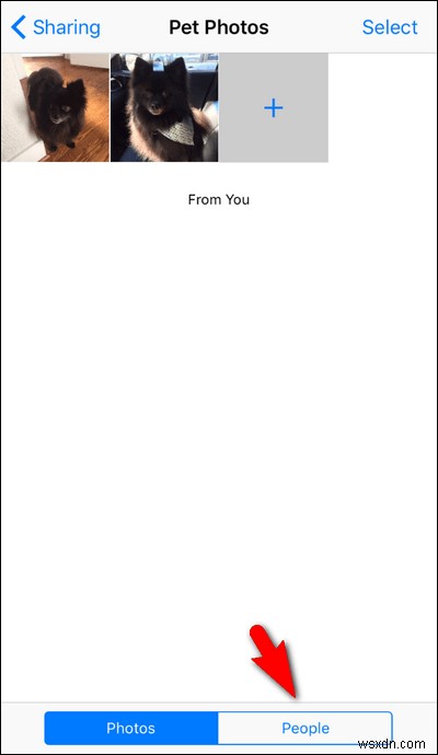 iCloudの写真をAndroidユーザーと共有する方法!たった1つの設定変更で誰でも閲覧可能に