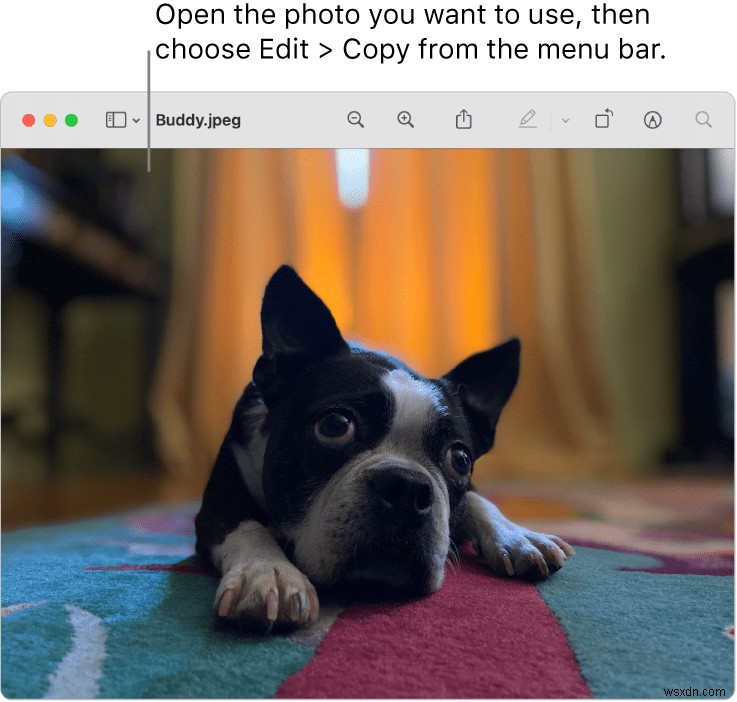 Macでフォルダアイコンを変更する方法｜好きな画像でデスクトップをカスタマイズ
