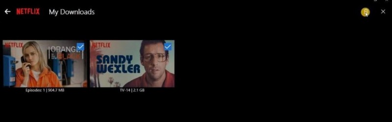 PCでNetflixをオフライン視聴する方法|ダウンロード手順を完全解説
