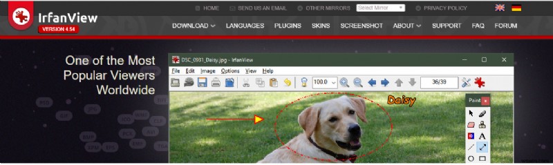 無料の透かしソフトウェアで写真に透かし(ウォーターマーク)を追加する方法を徹底解説