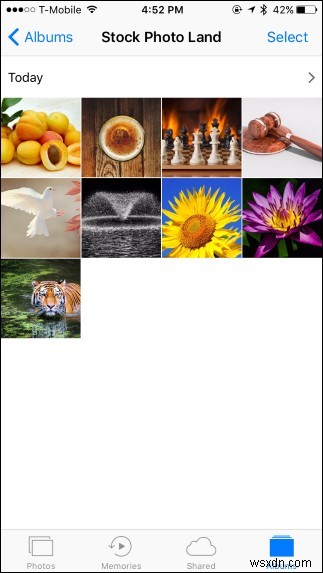 iPhoneの写真を美しい「思い出」に変える方法|作成・編集・共有まで徹底解説