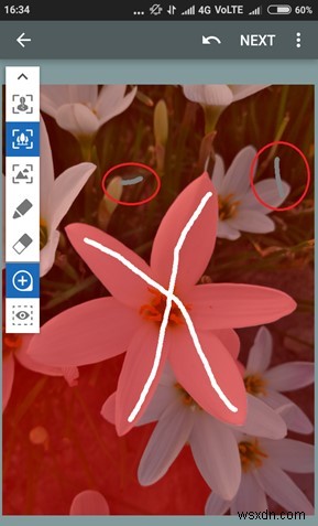 iPhone・Androidの写真に「深度効果（背景ぼかし）」を加える方法