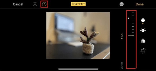 iPhoneで写真の背景をぼかす方法|ポートレート撮影を美しく仕上げる3つのテクニック