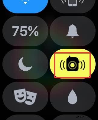Apple Watchのトランシーバー(Walkie-Talkie)機能の使い方を徹底解説