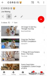 YouTubeプレミアムを使いこなすための実践テクニック集