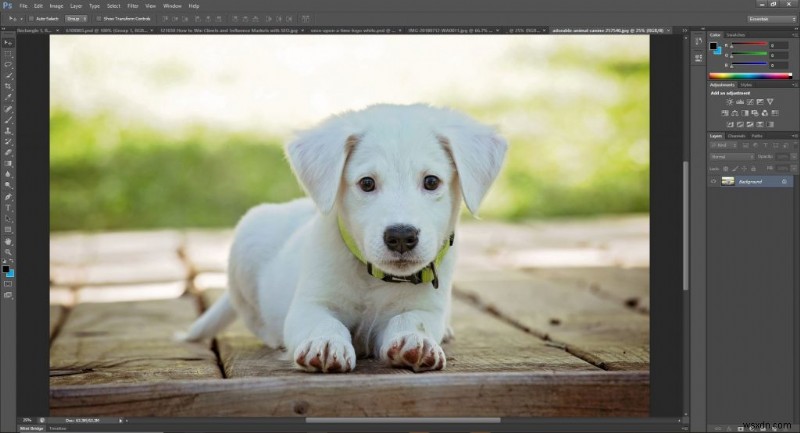 画像の背景を削除する方法【Photoshop・PowerPoint・オンラインツール対応】