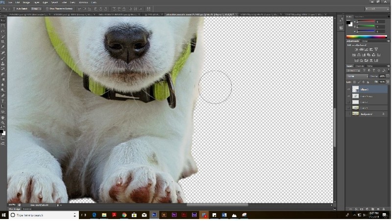 画像の背景を削除する方法【Photoshop・PowerPoint・オンラインツール対応】