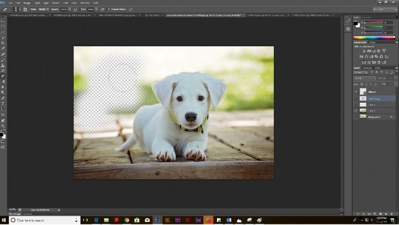 画像の背景を削除する方法【Photoshop・PowerPoint・オンラインツール対応】