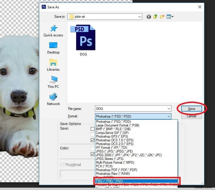 画像の背景を削除する方法【Photoshop・PowerPoint・オンラインツール対応】
