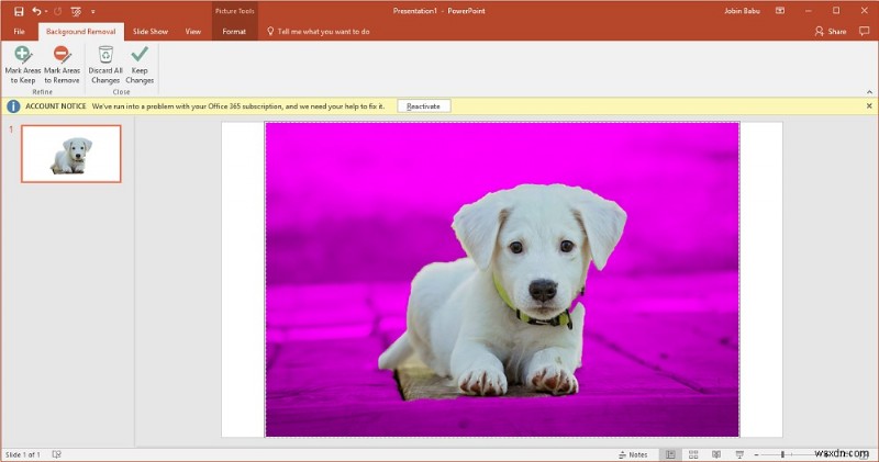 画像の背景を削除する方法【Photoshop・PowerPoint・オンラインツール対応】